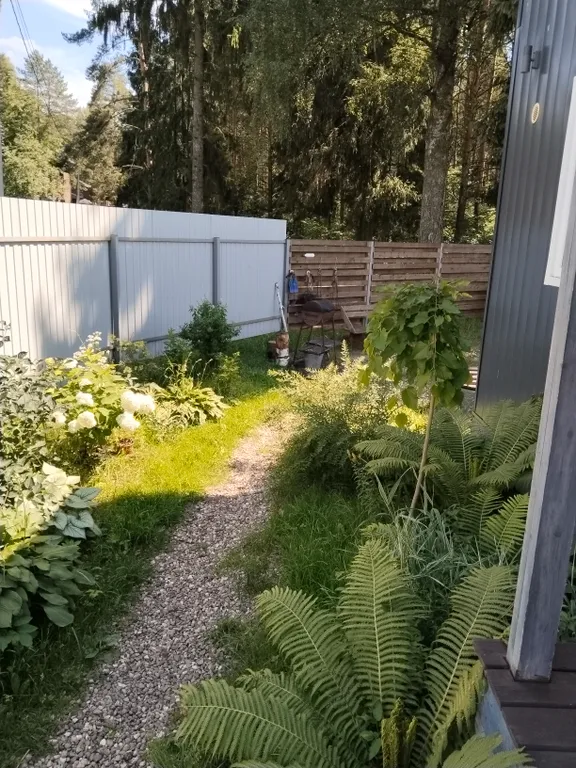 Домик у леса с сауной