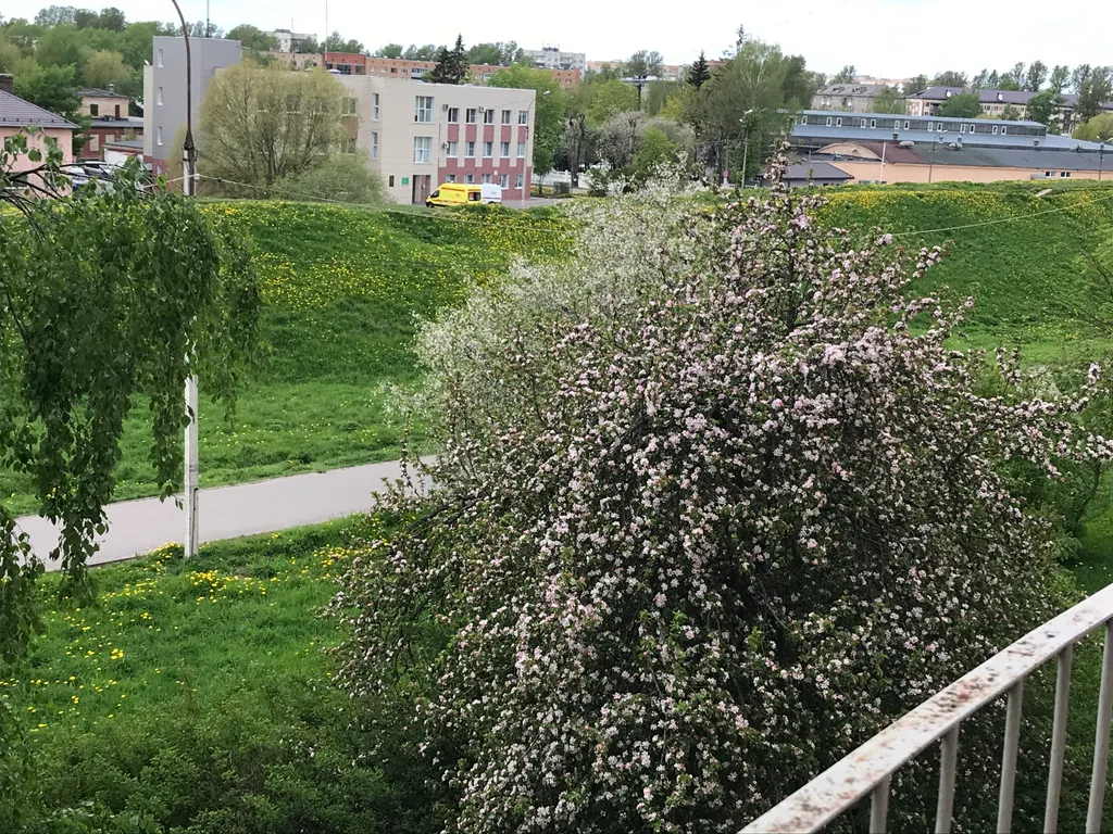 Квартира Прекрасная квартира в центре города — Великий Новгород