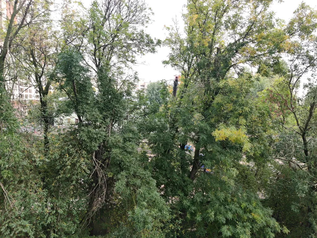 Уютная квартира на Новочеркасской