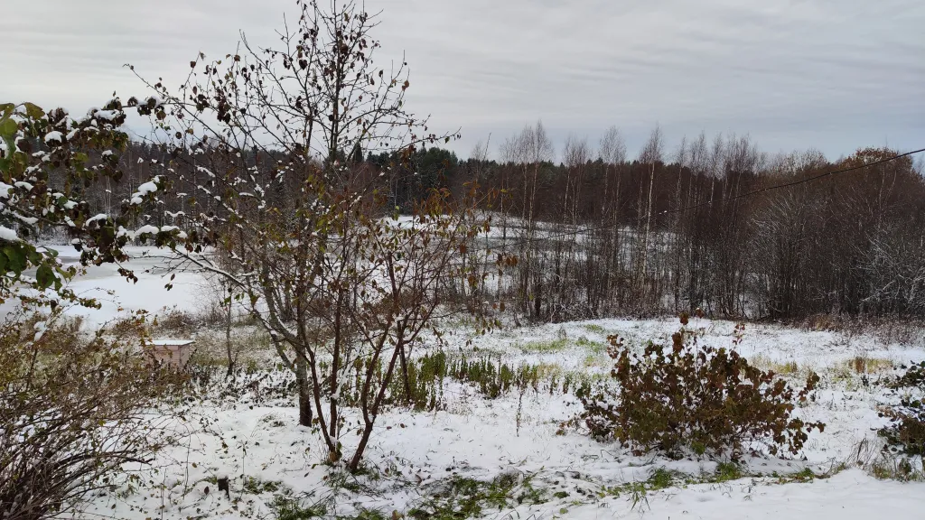 Настоящий деревенский домик в Карелии