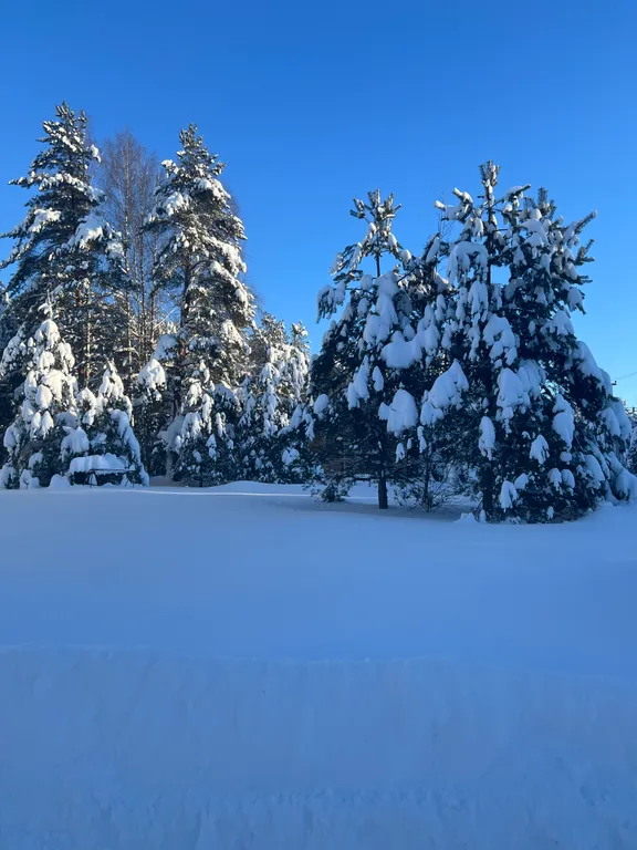 Дом Переславль