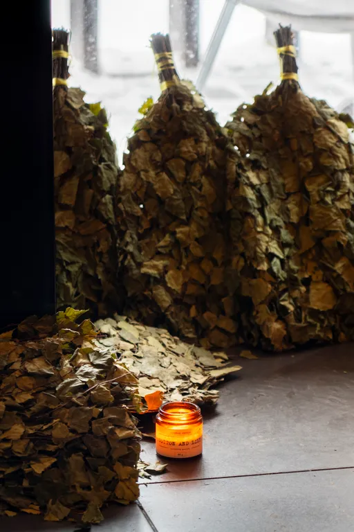 Дом с сауной и купелью