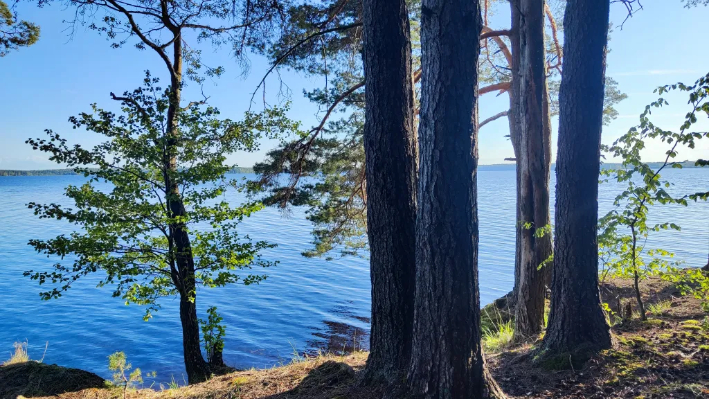 Коттедж Коттедж Амфрейм 6 местный у озера с баней, чаном и детской площадкой с батутом — Ланино