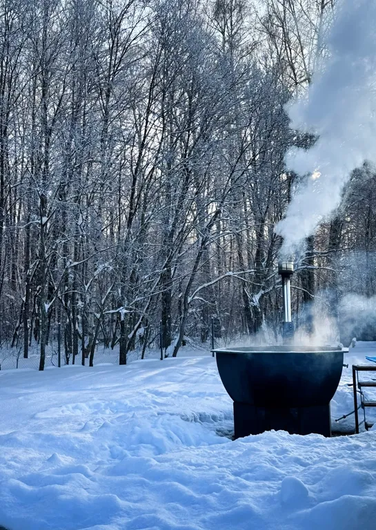 Коттедж Дом с баней и чаном у леса — Дубна