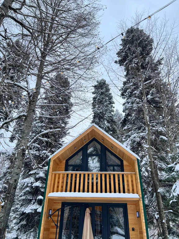 Двухэтажный барнхаус