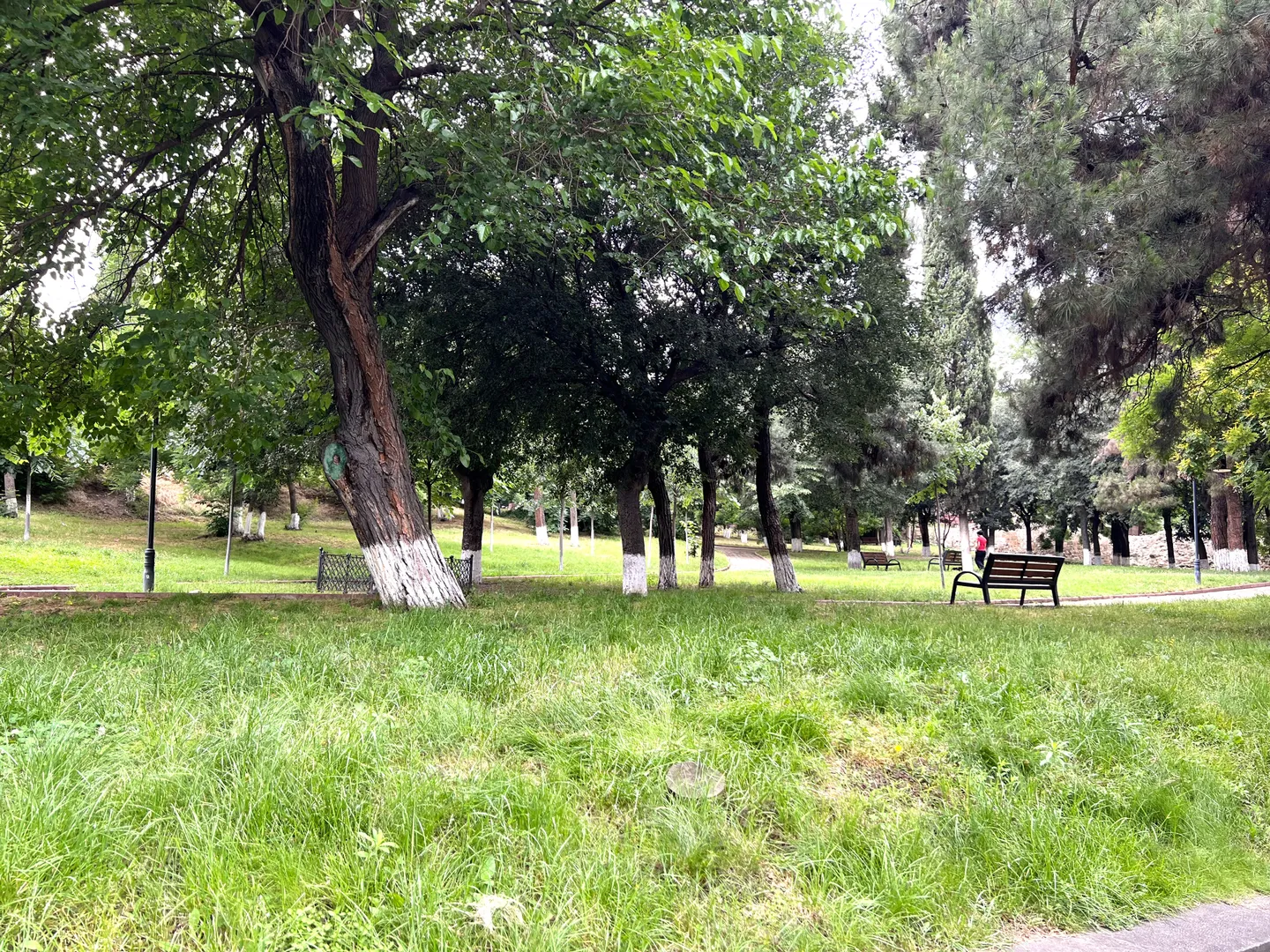 Парк Ортачала / Старый Тбилиси - (Дистанция 830m)