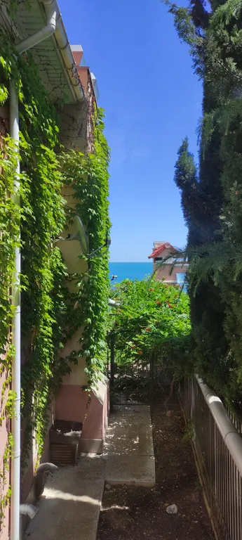 Зимовка на берегу моря в уютных апартаментах Лазурный Элит