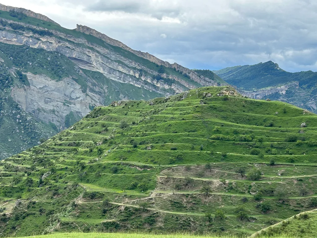 Большой уютный дом