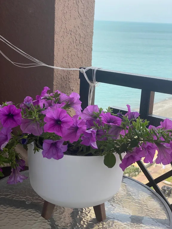 Апартаменты на набережной с видом на море