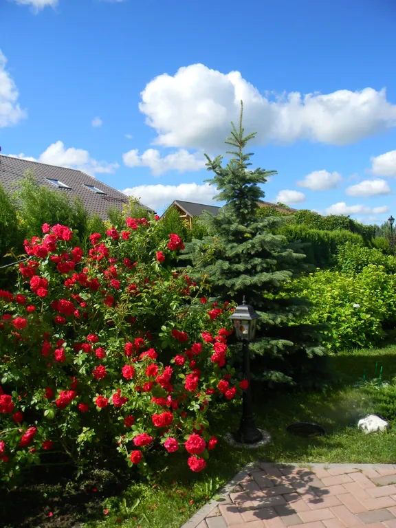 Коттедж Уютный домик с баней на Можайском Море — Можайск