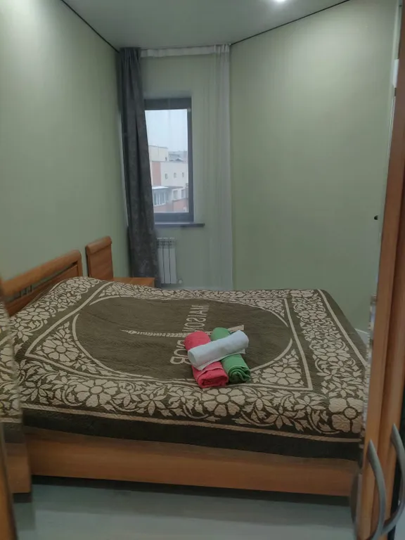 Квартира Евродвушка с хорошим видом на горы, парк в старом центре города — Алматы