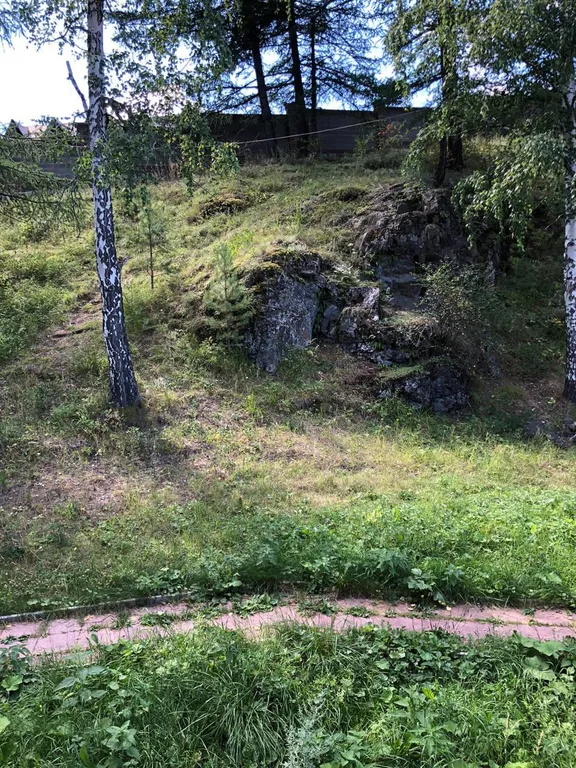 Уютный дом с камином в центре