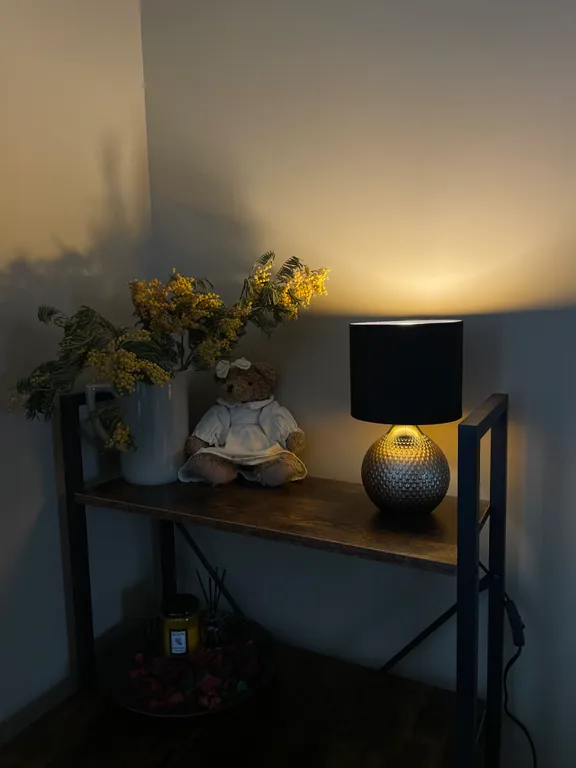 Квартира from Brest with love с авторским путеводителем