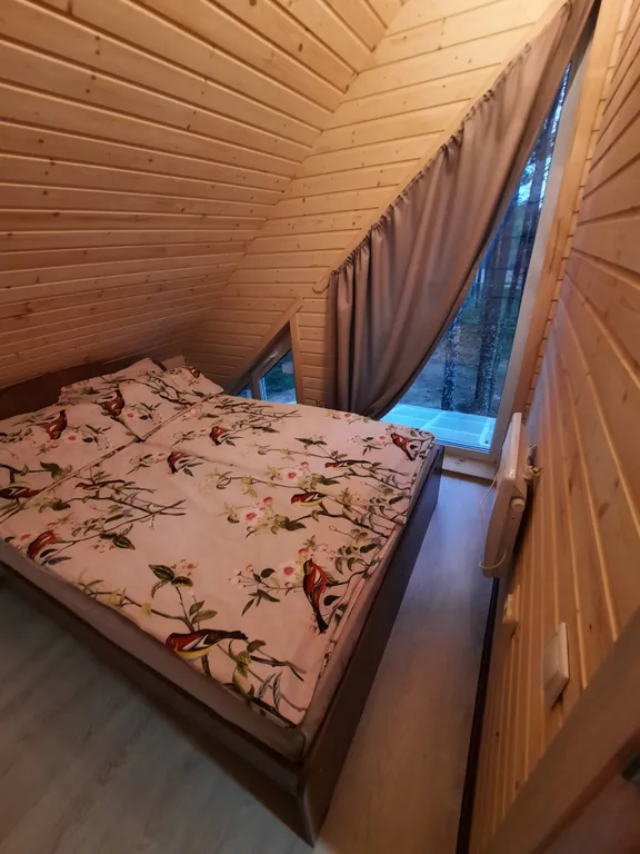 Домик с видом на сосновый бор и Ладожское озеро