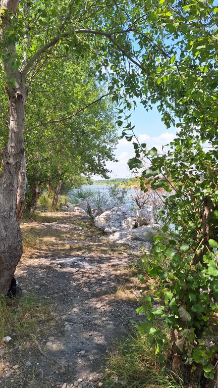 Дом у термальных источников