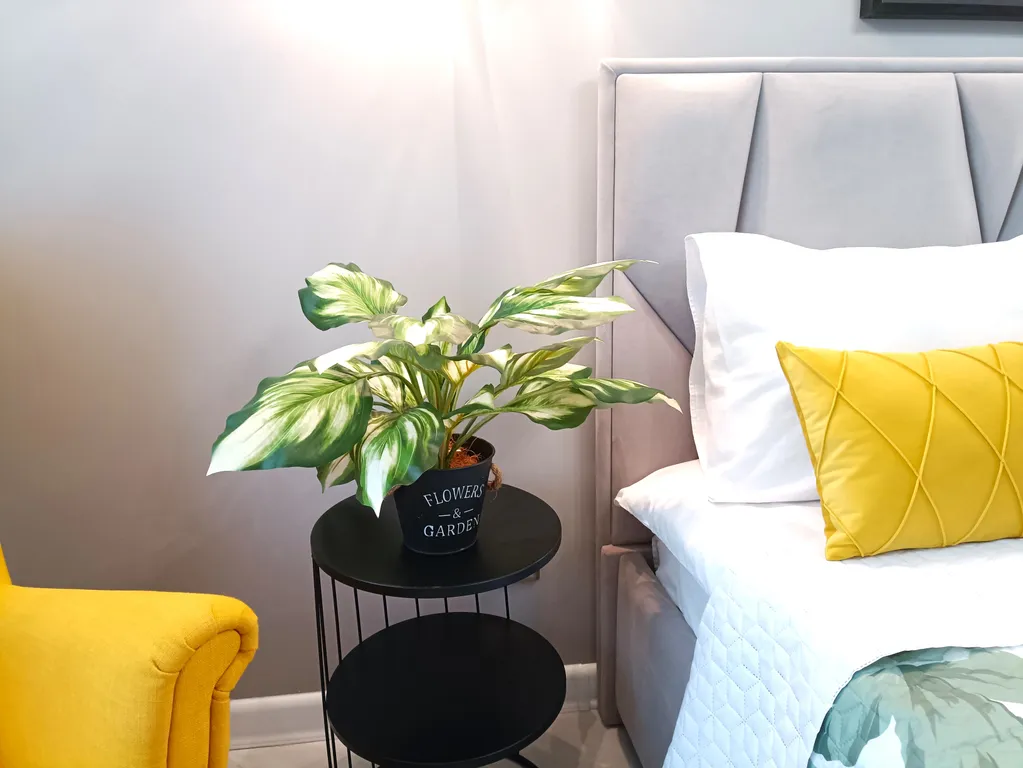 Mont Blanc Sutki Life