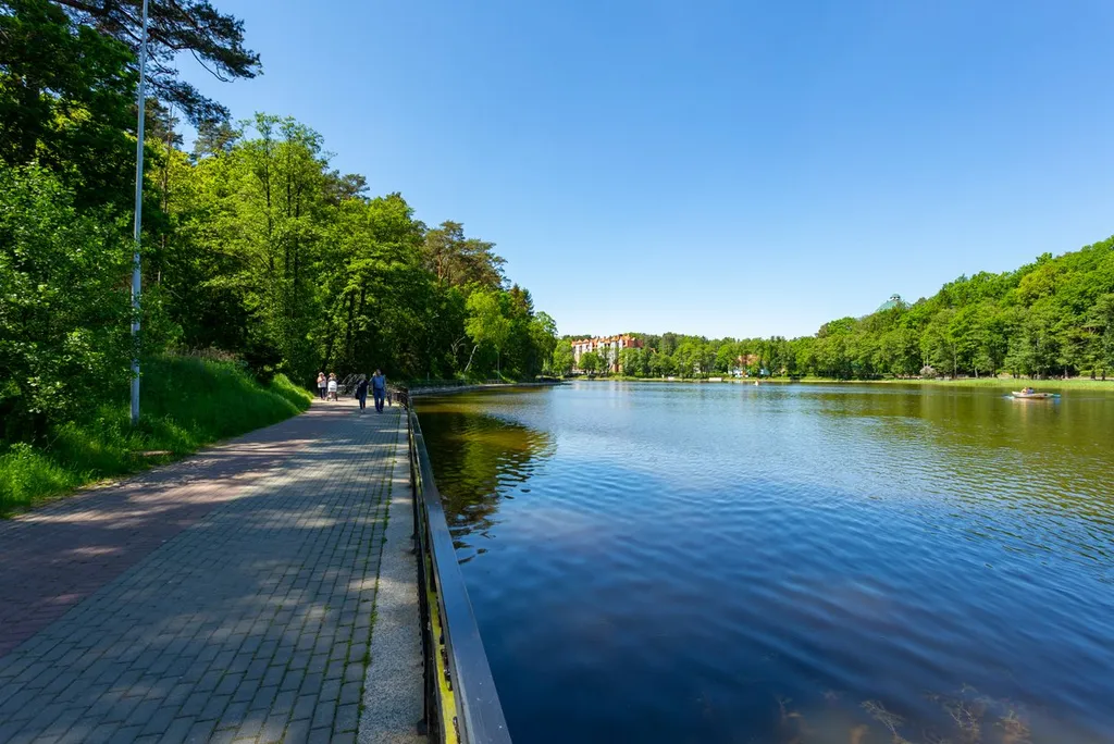 Квартира Квартира Friendly place apartment — Светлогорск