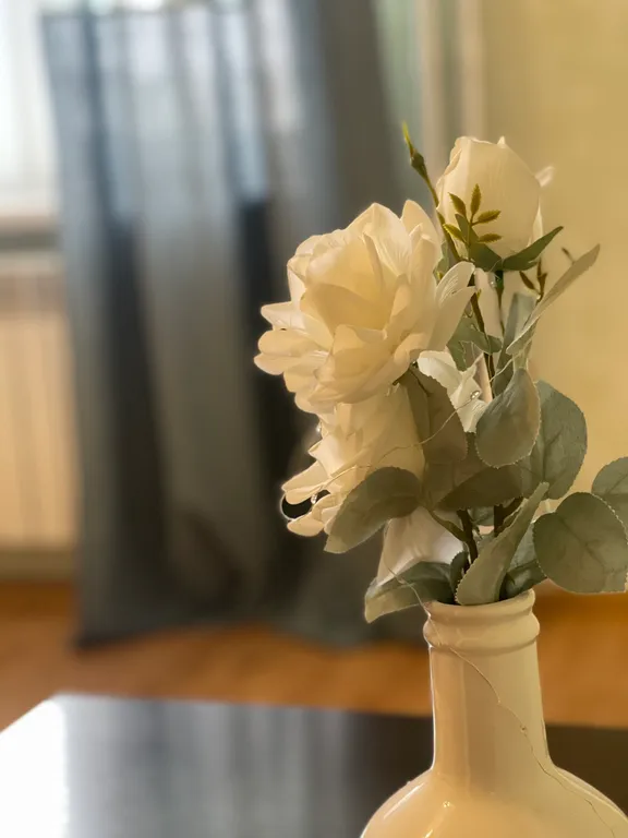 Квартира Комфортабельная квартира в центре — Тверь