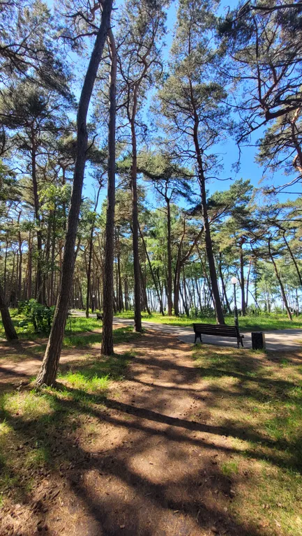 Квартира Уютная квартира ждёт своих гостей — Пионерский