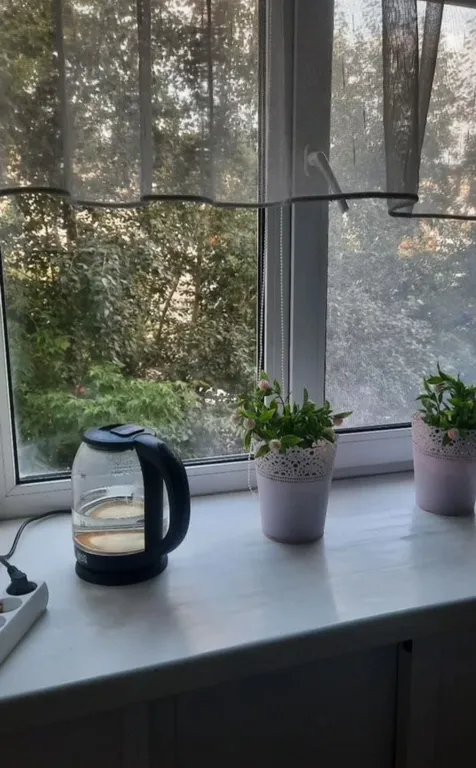 Квартира однокомнатная в центре Закамска