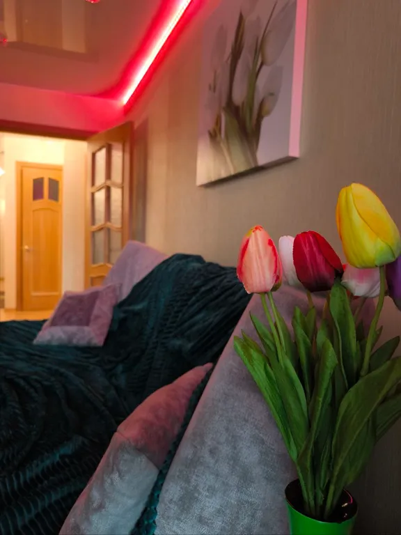 Уютная квартира на Камчатке в Елизово