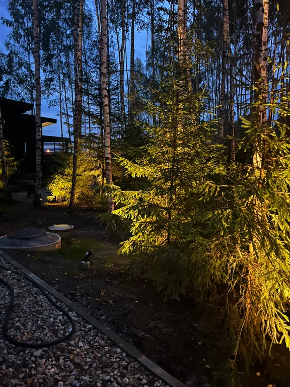 Дача в лесу Lesland