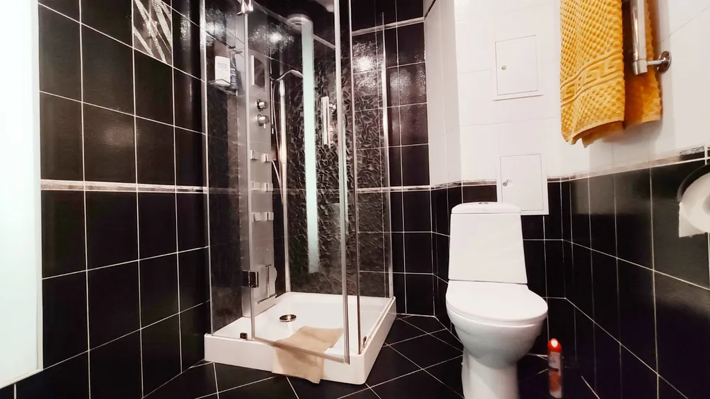 Квартира с душевой кабиной