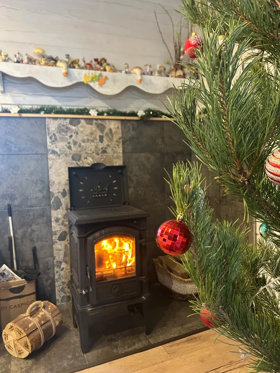 Дом у озера