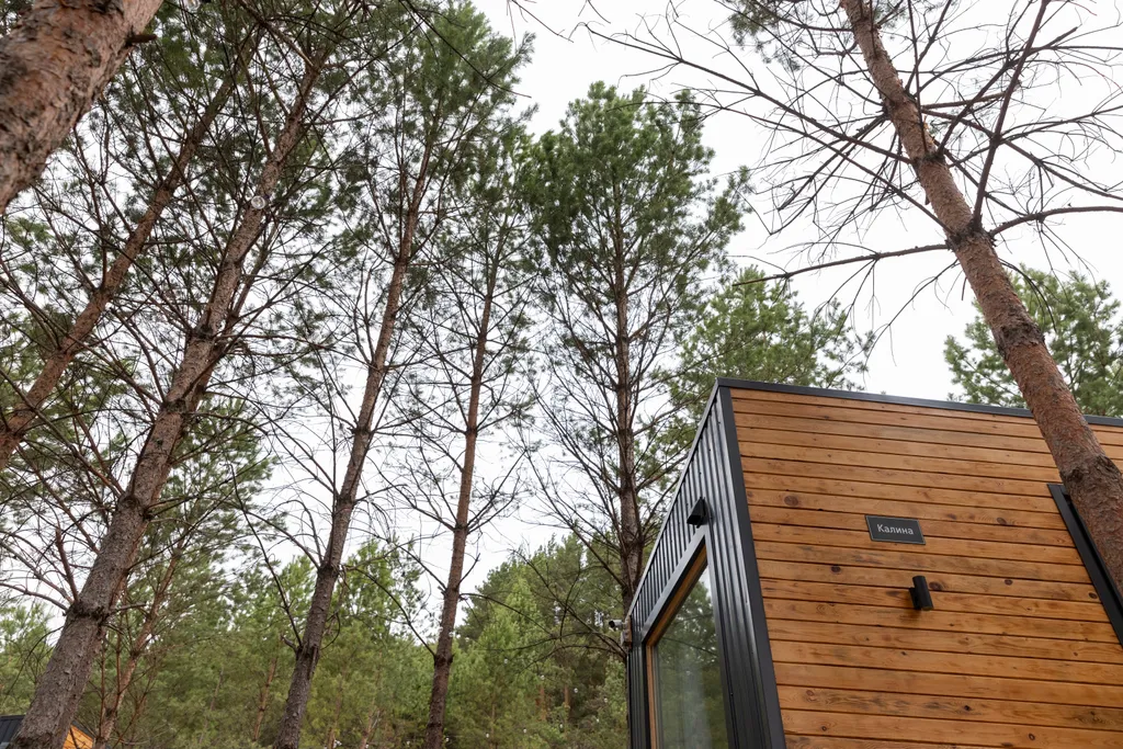 Гостевой дом Черника