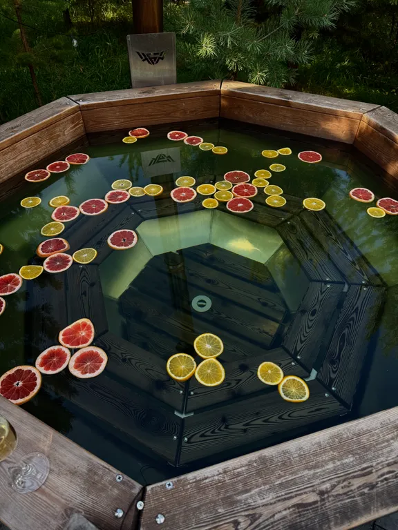 Панорамный дом с чаном под открытым небом и баней на дровах