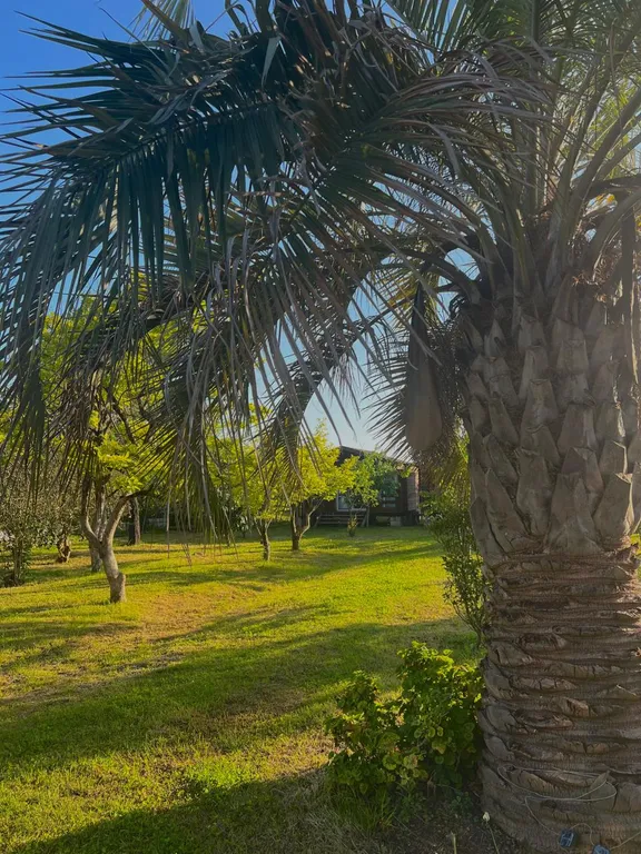 Коттедж Уютный домик с приусадебным участком — Гагра