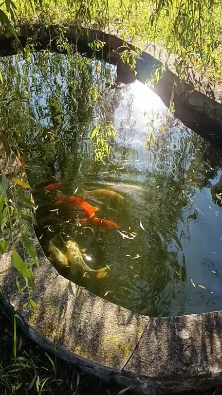 Вилла с парком под ключ