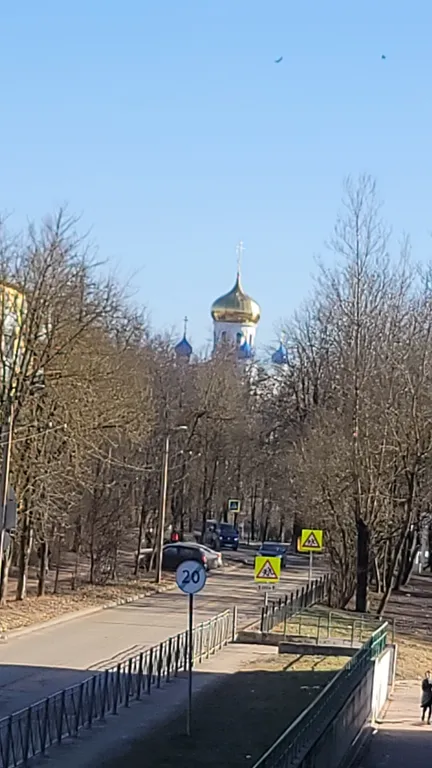 Застенчевая Ива у Пруда