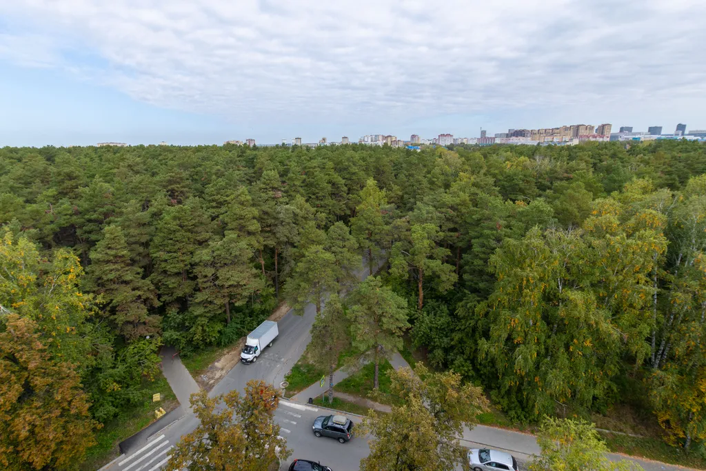 Уютная видовая квартира рядом с источником и лесом