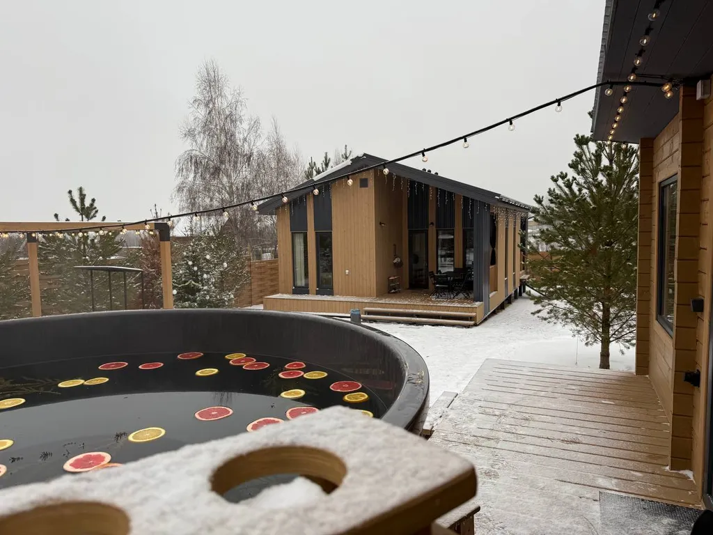 Skandi Белка загородный дом у пруда в подмосковье