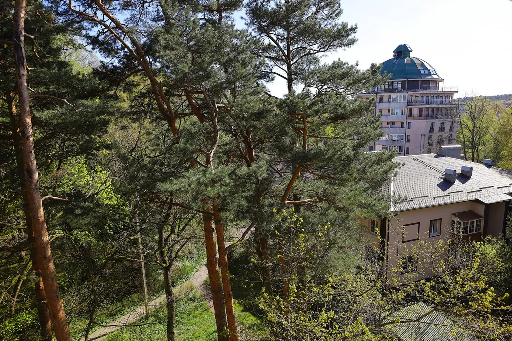 Апартаменты в 2 уровня в Центре Светлогорска