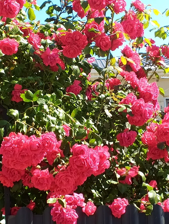 Квартира Квартира Солнечная студия на Азовском море — Кучугуры