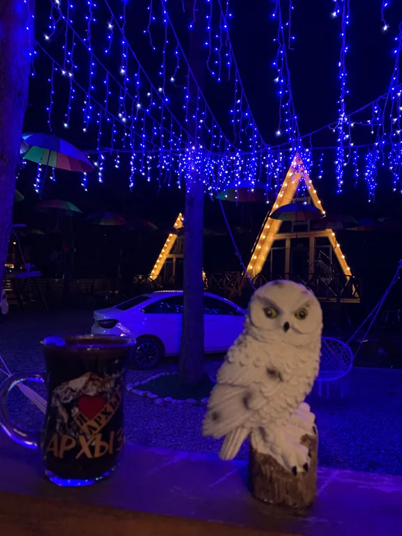 Коттедж 1-комнатный Дом — Архыз