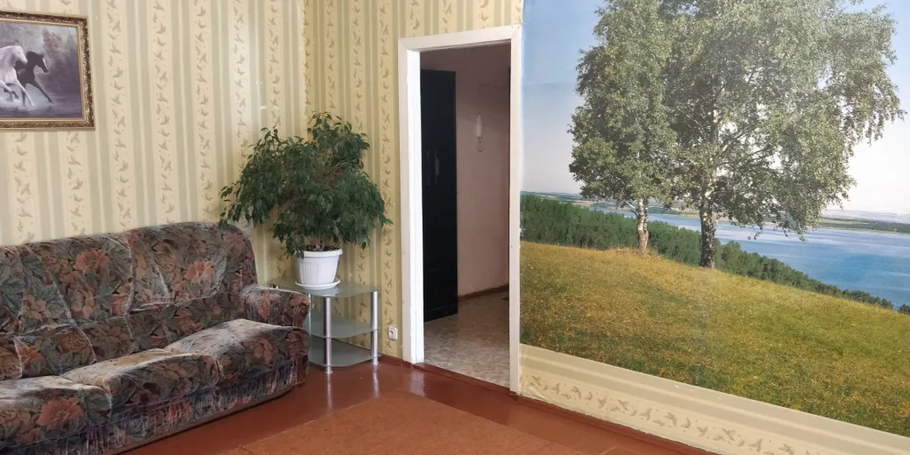 3-комнатная квартира с огромной кухней