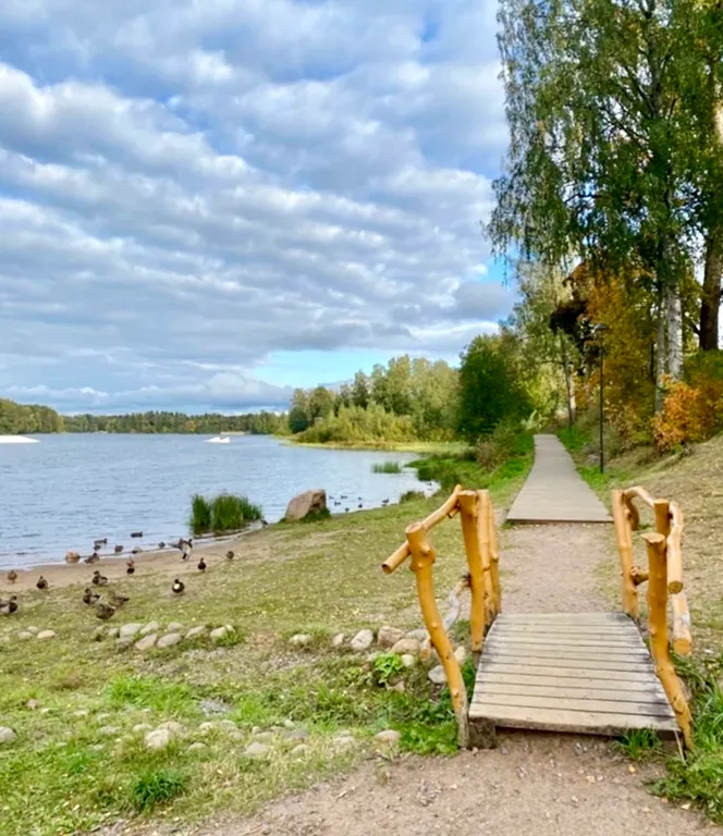 Коттедж с дизайнерской отделкой и камином