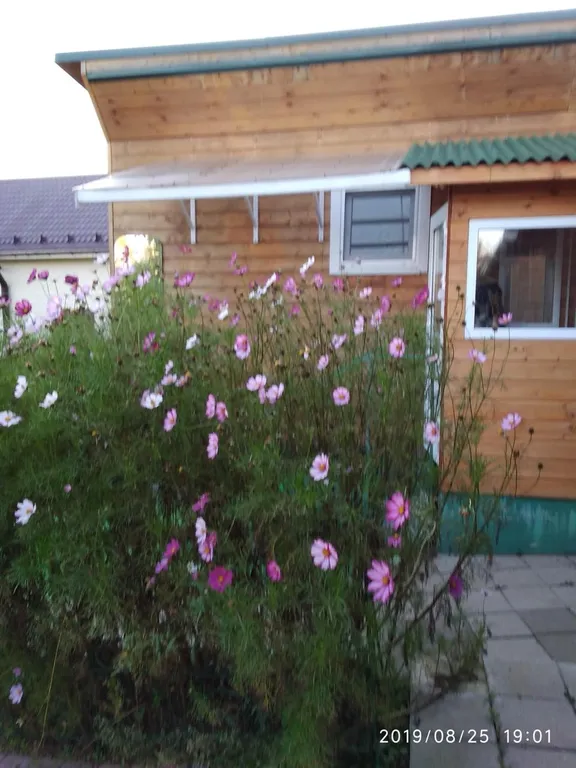 Домик у берега Волги