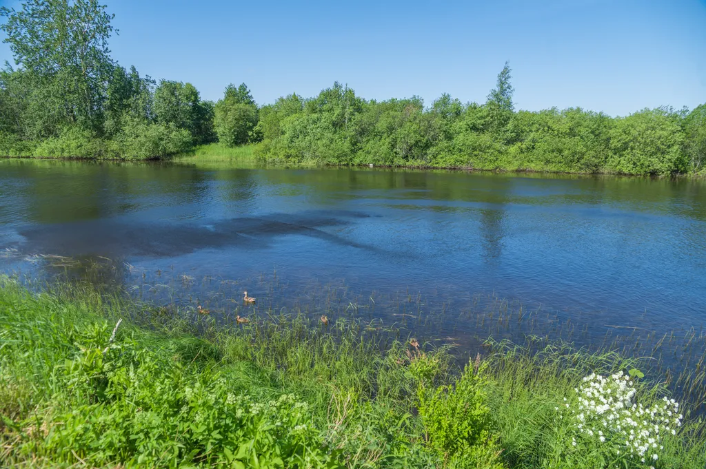 Коттедж Уютный дом с баней у реки — Верховье