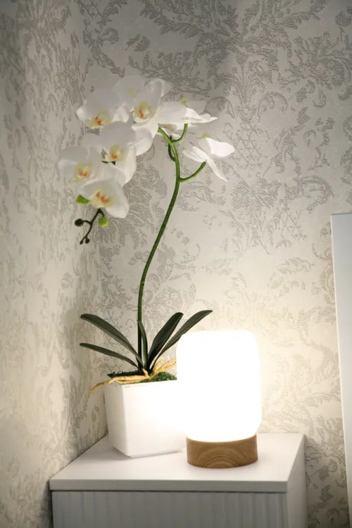 Квартира в историческом центре города