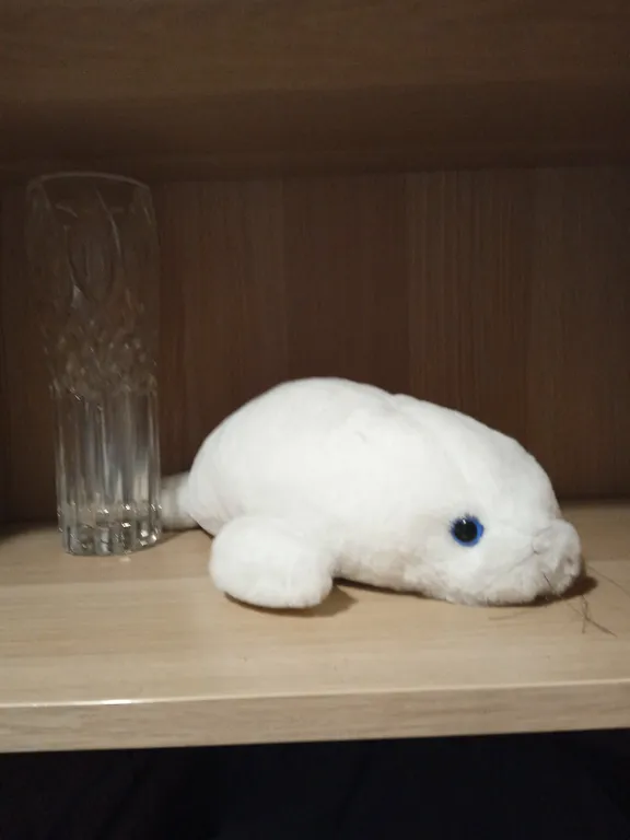 Светлая Просторная студия 5 мин до Всего