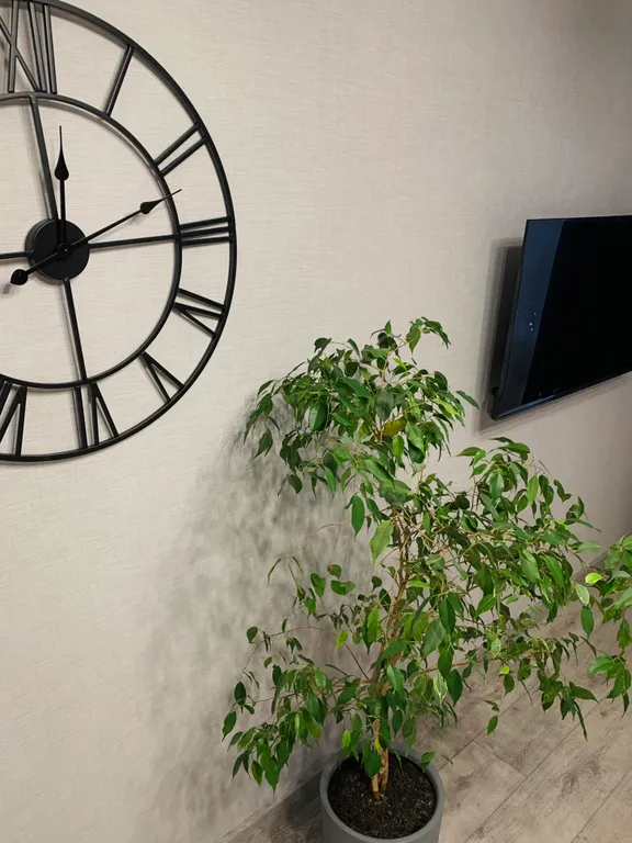 Квартира Уютная квартира с красивым видом — Великий Новгород