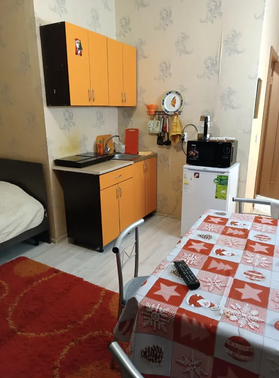 Квартира Уютная студия рядом с центром города — аренда посуточно в Иркутск