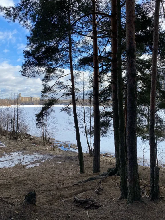 Уютная квартира с видом на озеро в Приморском районе