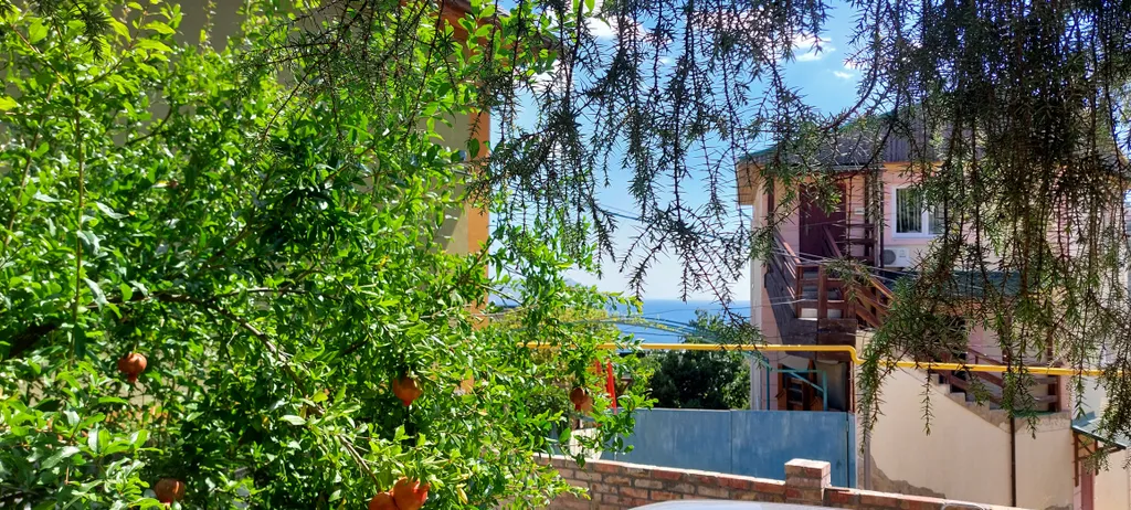 Номер на двоих в можжевеловой роще