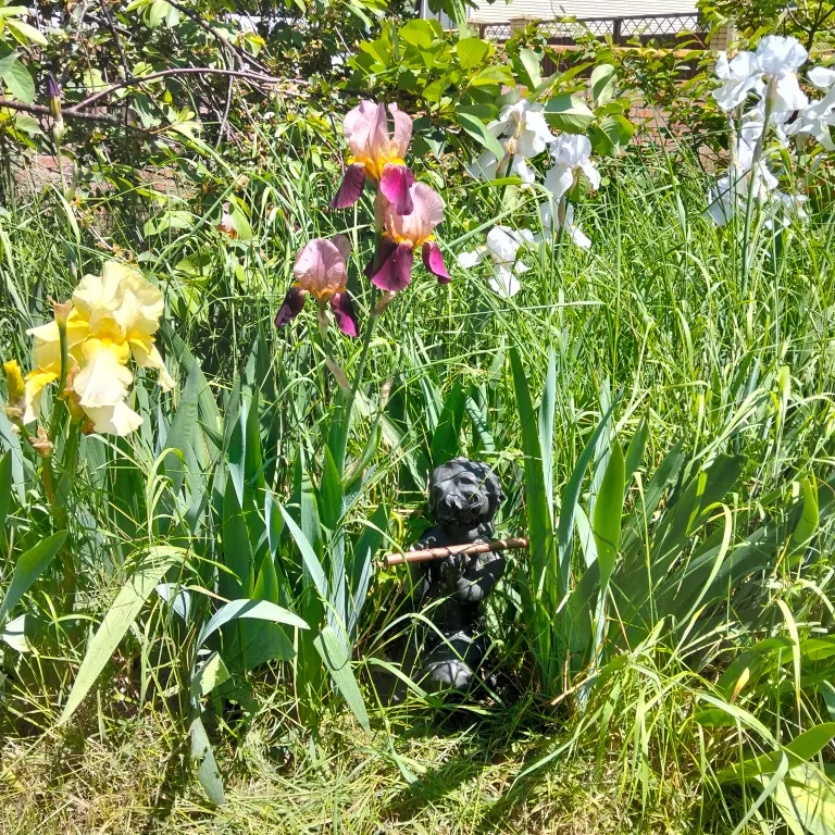 2 комнаты для большой семьи у  Черного моря