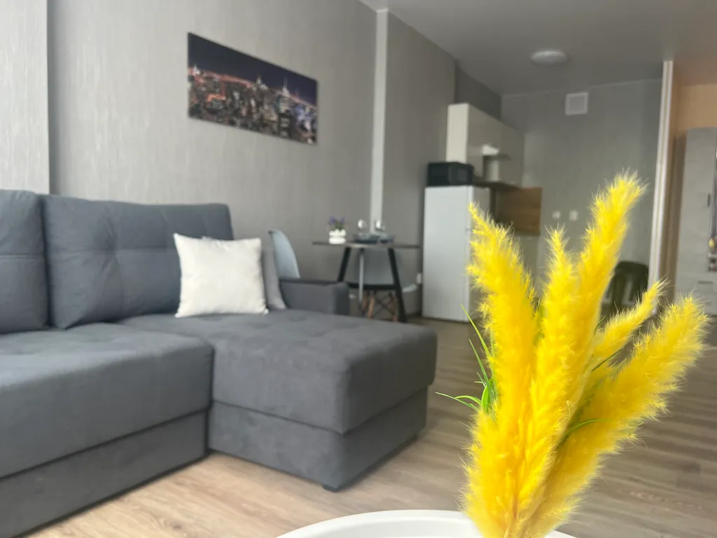 Новая уютная евродвушка с шикарным видом на город и пруд